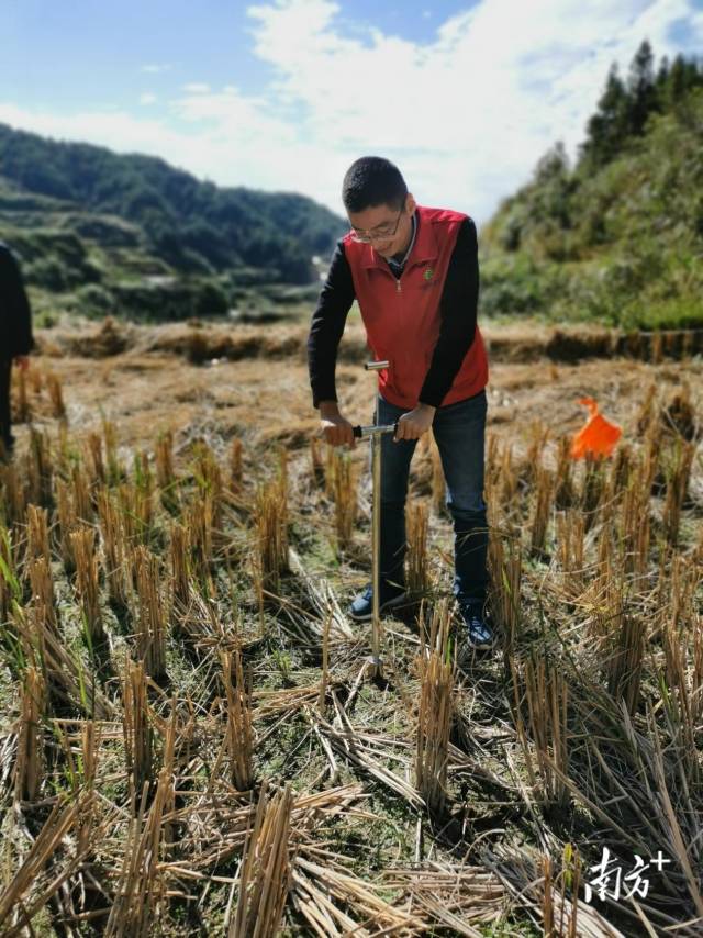 技術人員深入田間地頭開展土壤取樣、分析。通訊員供圖
