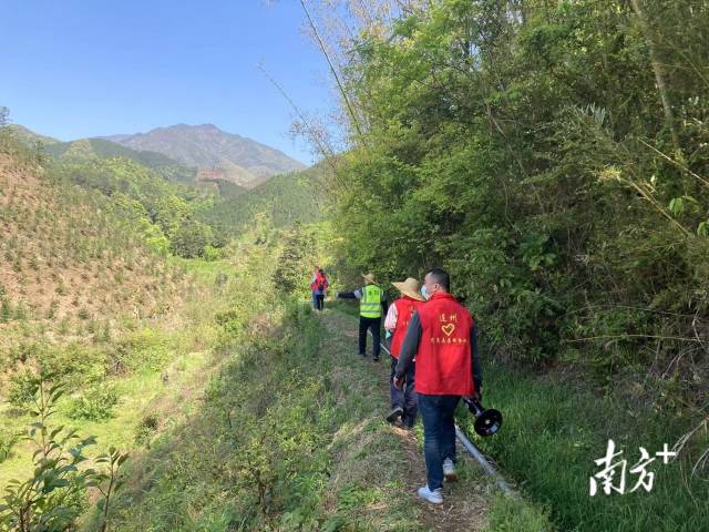 巡山。