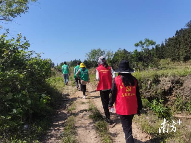 豐陽鎮(zhèn)的440余名黨群志愿者堅守先鋒崗，守護豐陽的綠水青山。