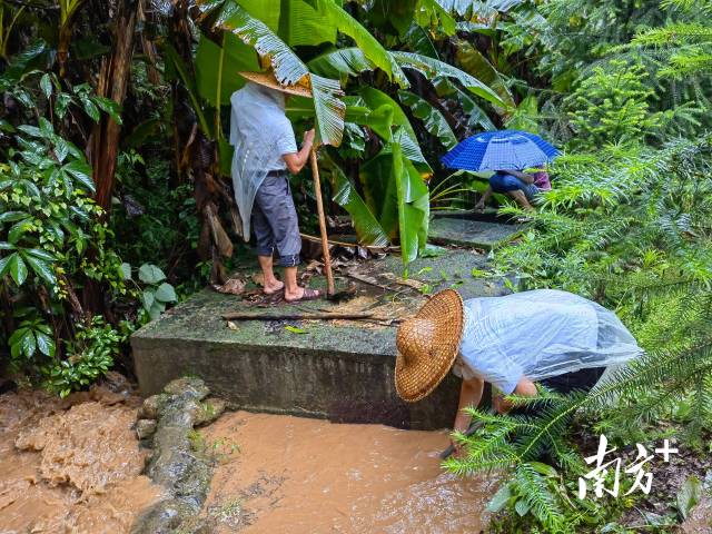 為保障陂嶺近三分之二村民用水，陂嶺村新老干部冒雨前往水源點解決集中供水問題。