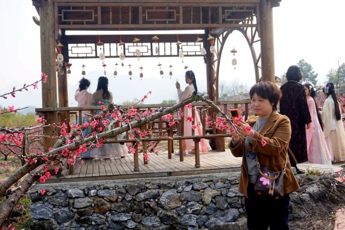 桃花節(jié)在九陂鎮(zhèn)開(kāi)幕，迎來(lái)八方游客。清遠(yuǎn)日?qǐng)?bào)記者 周璐攝。