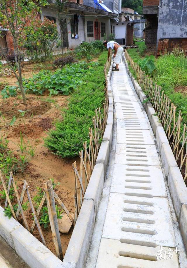 50個自然村建有污水處理系統(tǒng)。記者黃津 攝